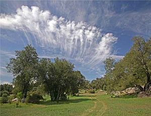 Santa Ysabel Homes